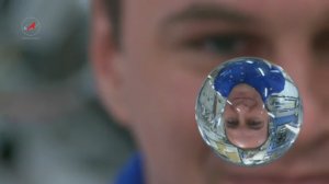 Урок из космоса. Физика невесомости.