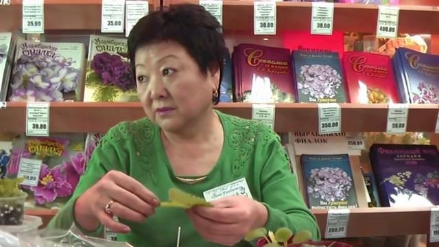 ДФ.Сенполии.Черенки на фитиле. Л Пак