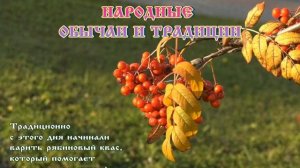Петр и Павел Рябинники ? 23 сентября #православие #народныйпраздник #житиясвятых