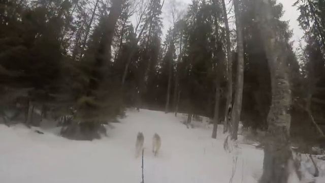 "Снежная Метель - 2017" 1-й день смотреть онлайн