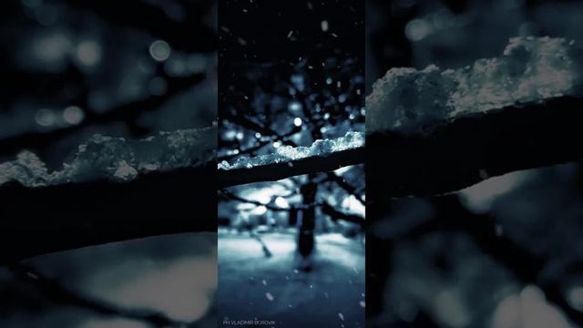 Снег, Вот такое фото сделал возле дома, как вам? смотреть онлайн