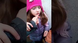 Собака вырвала зуб ребенку