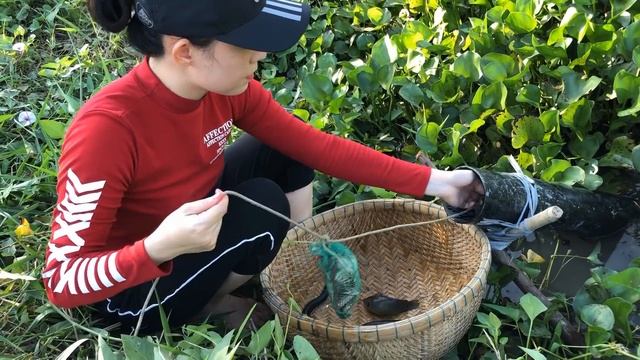 Amazing Fish Trap Catch Lot Of Water Snakes and Big Fish смотреть онлайн