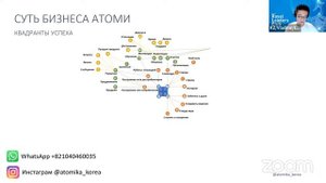 Владимир Хегай, Суть Бизнеса Атоми