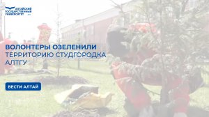 Волонтеры озеленили территорию студгородка АлтГУ | Вести Алтай