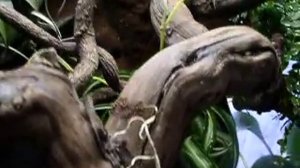 водопад в террариуме-2