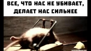 Всё что не убивает