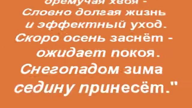 Осенние мотивы. Фото Татьяна Горд. Стихи Ирина Авакова смотреть онлайн