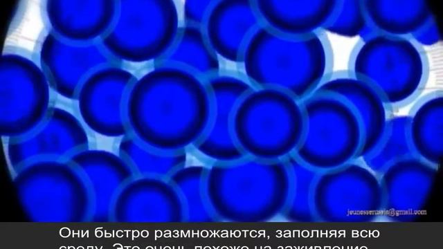 Омоложение на клеточном уровне: как это работает.
