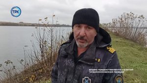 В новомосковский водоем выпустили мальков сазана