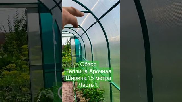 Обзор теплицы шириной 1,5 метра. Арочная 1,5М смотреть онлайн