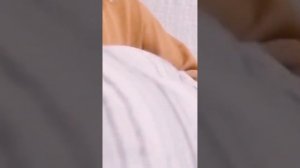 Производство ватных матрасов оптом и в розницу