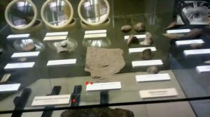 Саккады и фиксации