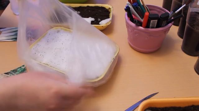 Посадка сельдерея и лука порея проверенным способом . смотреть онлайн