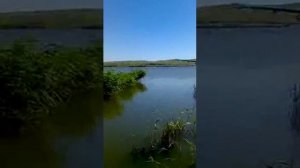 Рыбалка на карася в Керчи, Крым