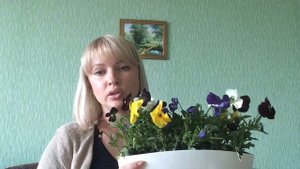 Цветоводство. Анютины глазки. Садим вместе.
