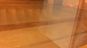 Метро в Санкт-Петербурге. Оранжевая линия. Визит: Спасская - Ул. Дыбенко