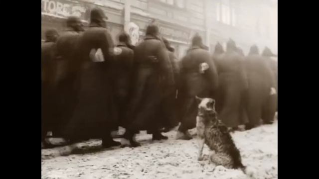 Видеопутешествие. Улица Пречистенка