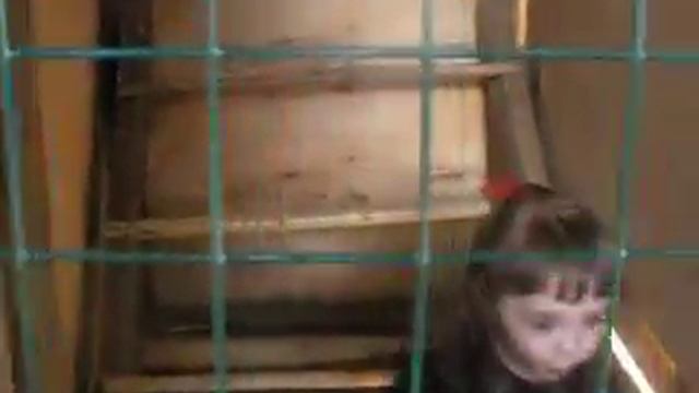 Принцесски... Показ курятника - дело рисковое... смотреть онлайн