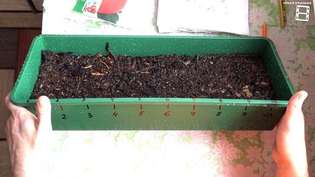 ПОСЕВ СЕМЯН ПОМИДОР (ТОМАТОВ) НА РАССАДУ ОЧЕНЬ ПРОСТО. САД (ОГОРОД) И ТЕПЛИЦА 4-21 смотреть онлайн