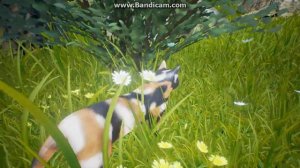 Обзор бета-версии игры по Котам Воителям Wild Hearts {3D игра по Котам Воителям}