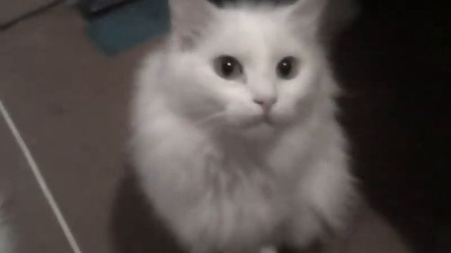 Очень ржачно смотреть онлайн