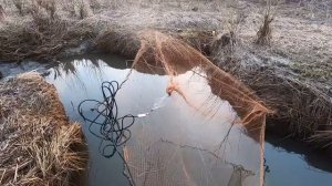 Первый заброс кастинговой сети порадовал