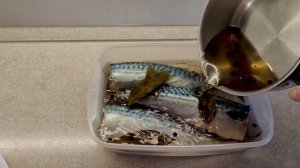 Скумбрия пряного посола | Солим сами
