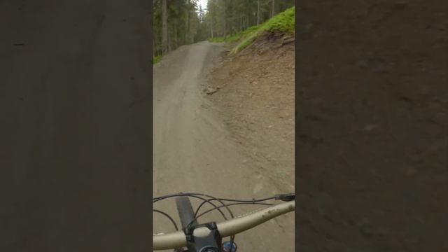 Morning Shred At Schladming Bike Park! #mtbtrailhub #shorts #schladming