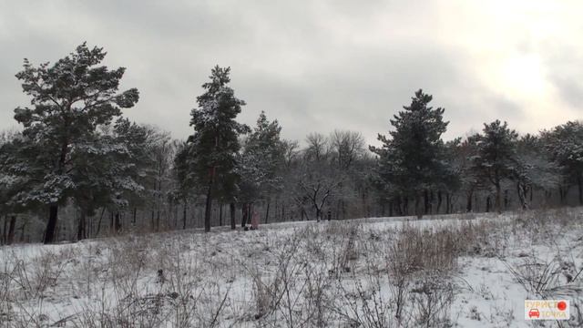 Заснеженный ботанический сад Ростова-на-Дону смотреть онлайн