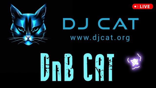 Драм-энд-бейс сеты миксы ремиксы диджеев 2024 2025 - DRUM-AND-BASS CAT REMIX - DJ CAT - новинки лета