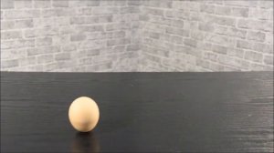 Яйцо-гироскоп/Egg-gyroscope