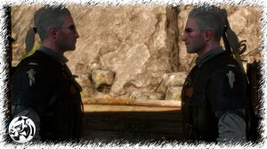 Ведьмак 3: Дикая Охота #39. Неуловимый вор