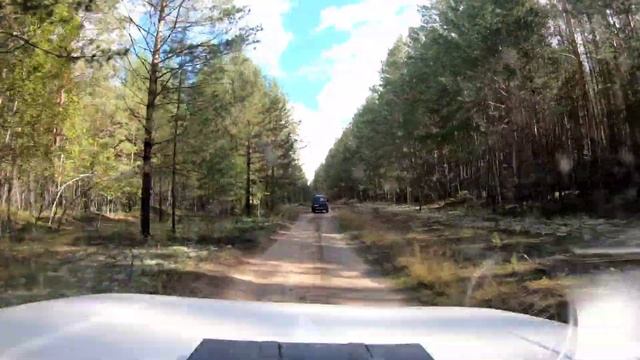 Нива 2121, дорога за белыми грибами. смотреть онлайн