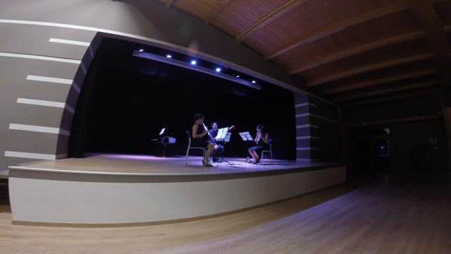 Jacques Ibert - Cinq Pièces en Trio - Flute, Clarinet, Bassoon смотреть онлайн