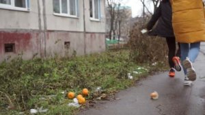 3-ий Январь - Фиолетовые мотыльки (сниппет)