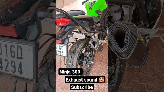 ninja 300 exhaust sound..fire ??#btsrider #ninja300 #kawasaki