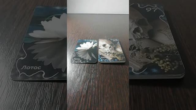 Основное Что Нужно Знать О Магической Защите смотреть онлайн