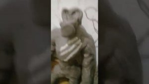 колекция титанов конг и гадзилла