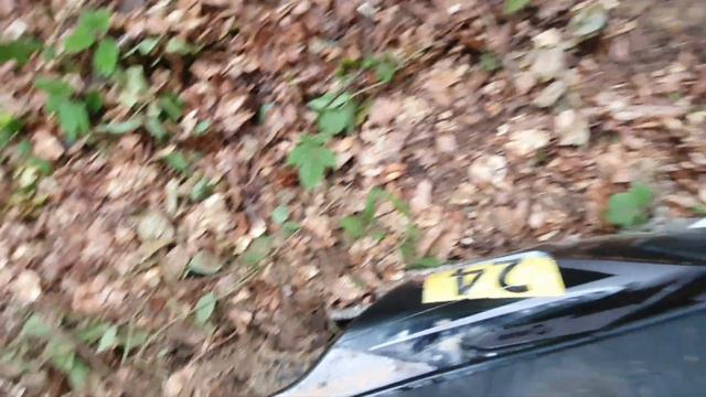 ПРИЇХАЛИ 1200 КМ.В ГОСТІ К ExtremeMoTo. В КАРПАТИ КАТНУТЬ смотреть онлайн