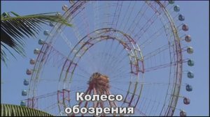 Винперл 8