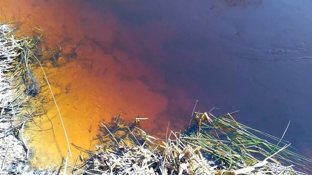 Расслабляющие звуки реки _ Relaxing river sounds смотреть онлайн