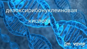 Что такое( ДНК )!!!