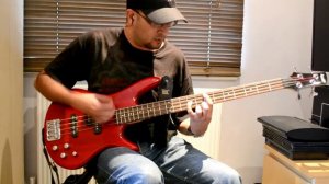Iron Maiden - Blood Brothers Bass Cover