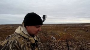 ОСЕННЯЯ ОХОТА НА ГУСЕЙ 2020 В ТУНДРЕ НАО