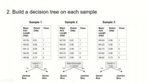 Random Forest Classifier Explained