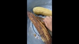 Як росте люфа