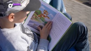 Мегаполис / Тигр-фест / 27.10.23