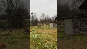 Псковская область, Плюсский р-н, Заполье (Запольская волость) д., ул.Ленинградская