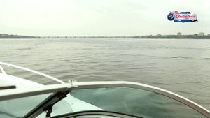 Quintrex 510 Cruiseabout